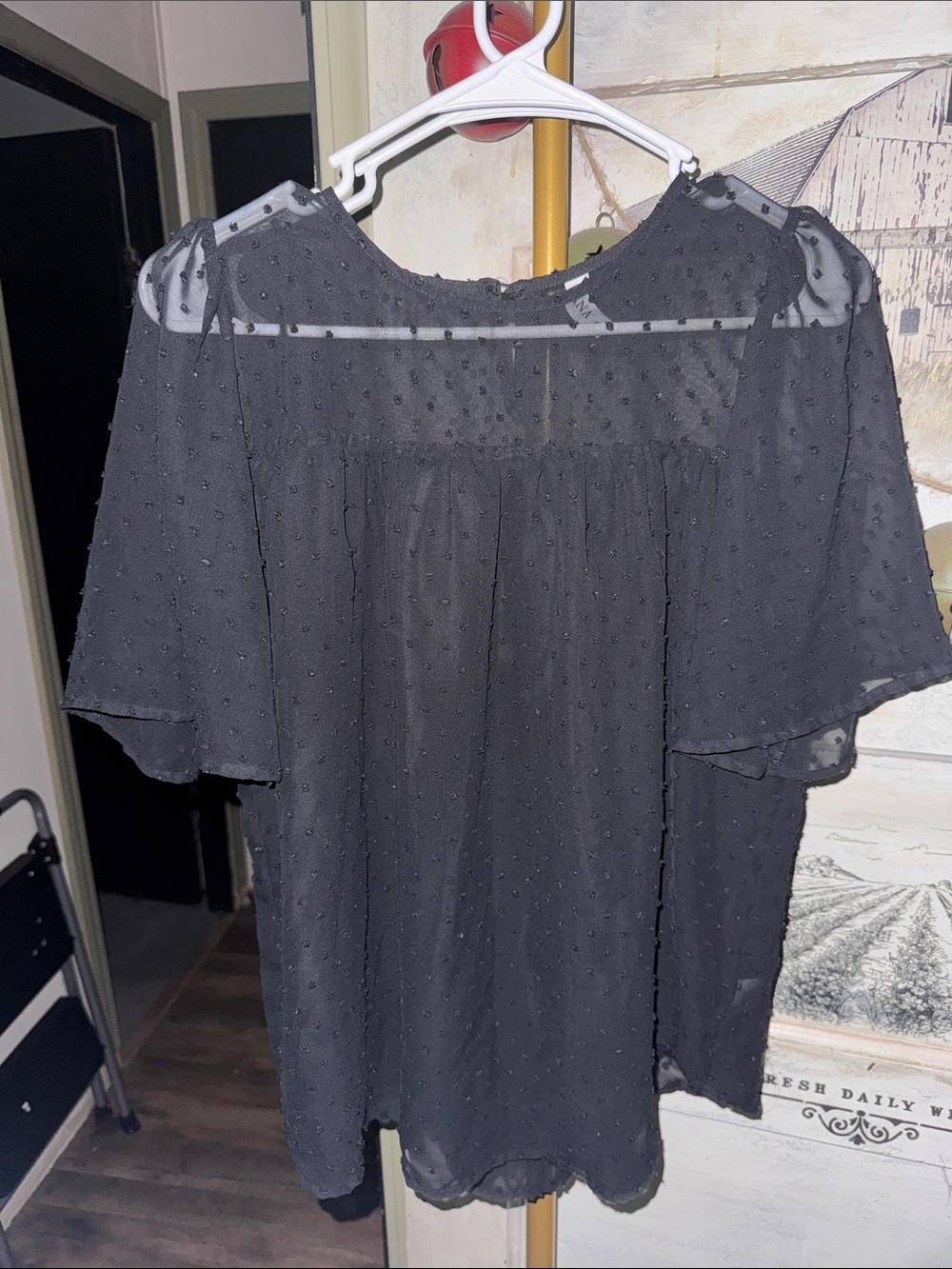 Zenana Outfitters Black Sheer Swiss Dot Flutter Sleeve Top